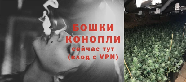 apvp Снежногорск