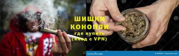 стафф Сосновоборск