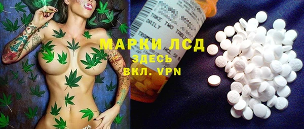 apvp Снежногорск